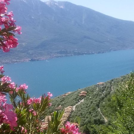 Corte Di Tosina Monzambano Dış mekan fotoğraf