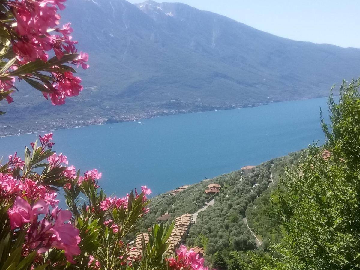 Corte Di Tosina Monzambano Dış mekan fotoğraf