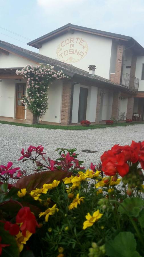 Corte Di Tosina Monzambano Dış mekan fotoğraf