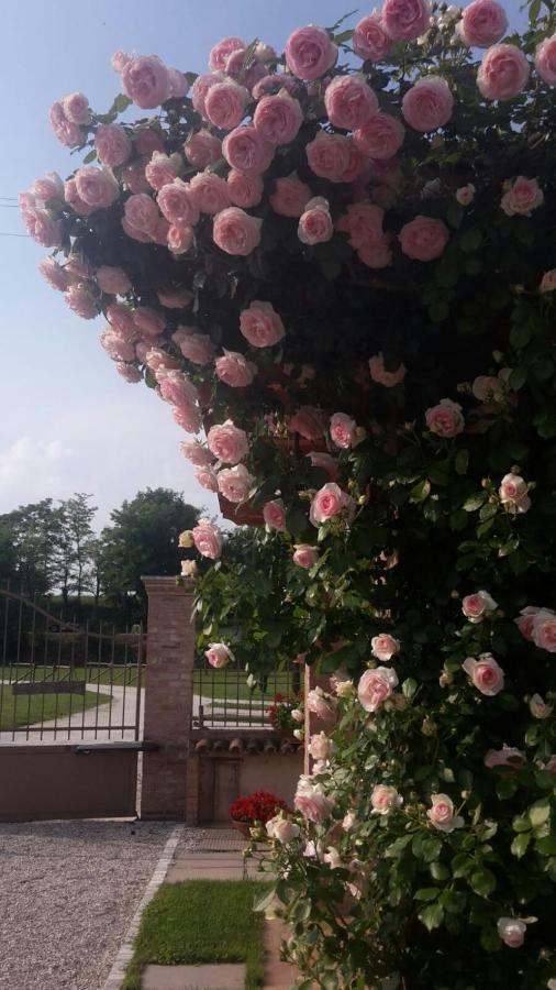 Corte Di Tosina Monzambano Dış mekan fotoğraf
